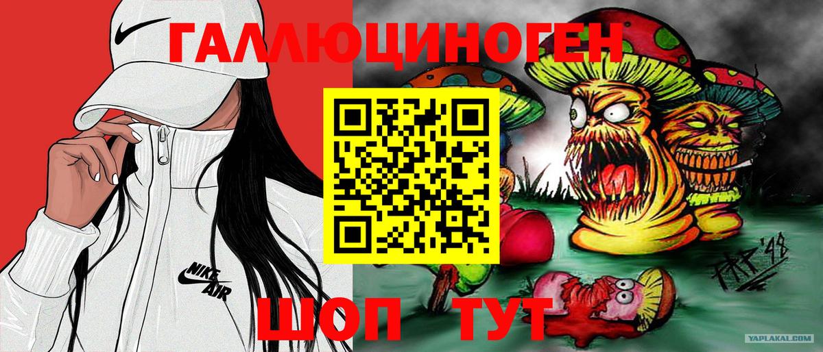 Галлюциногенные грибы Cubensis Петрозаводск