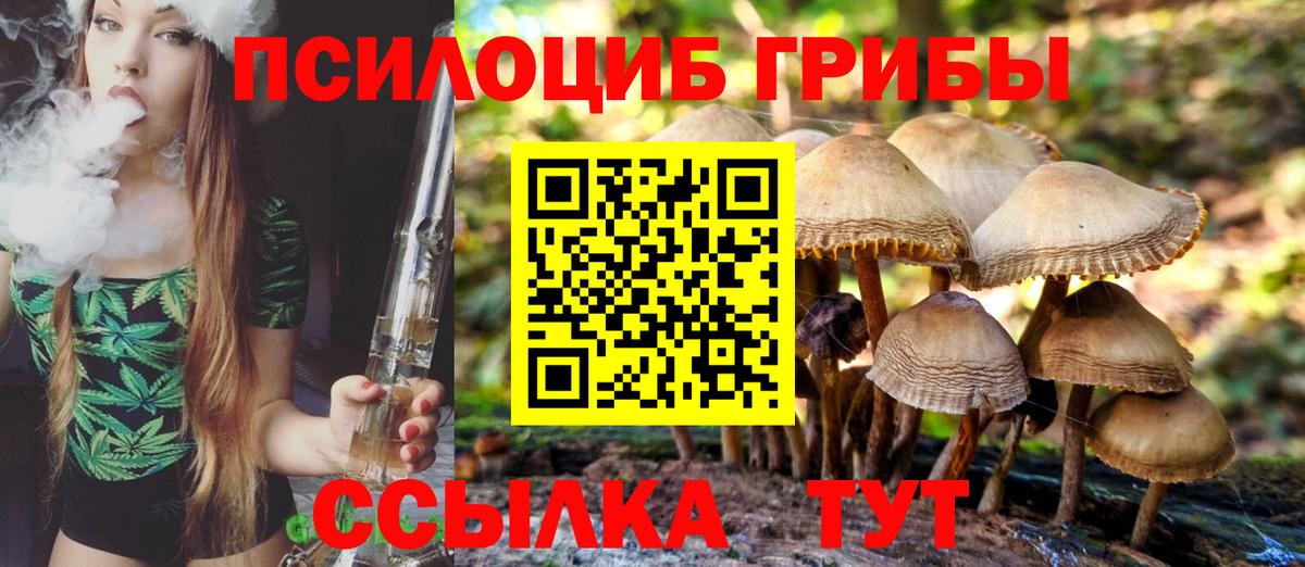 Петрозаводск  Псилоцибиновые грибы Magic Shrooms  Псилоцибиновые грибы Cubensis  Вход с VPN 